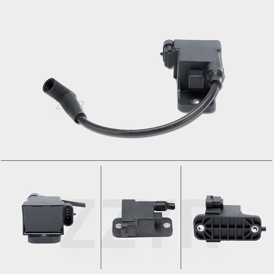 Prüm 2010 Kabinet 750ml Amazon.com: Outboard Ignition Coil CDM Module Fits for